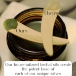 Herb infused salve comparison potent herb base